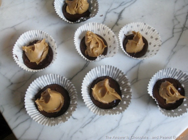 [Peanut Butter Layer[11].jpg]