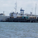 DSC_0237.JPG