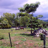 Omoa 023.jpg Omoa 023.jpg