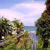 Omoa 037.jpg Omoa 037.jpg