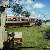 jpg_00000011.jpg jpg_00000011.jpg