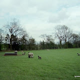 England (20).JPG