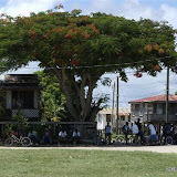 DSC_7450.JPG