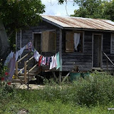 DSC_7451.JPG