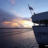 jax 11 06 054.jpg