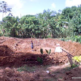 RDS Fish Pond 018.jpg RDS Fish Pond 018.jpg