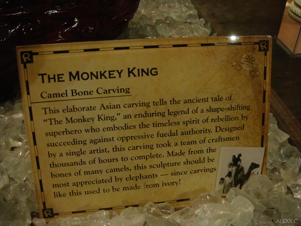 [DSC08580[1].jpg]