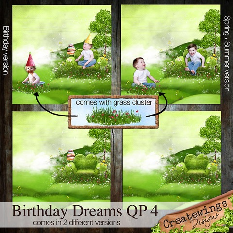 [CreatewingsDesigns_BD_QP4ab_Preview[3].jpg]