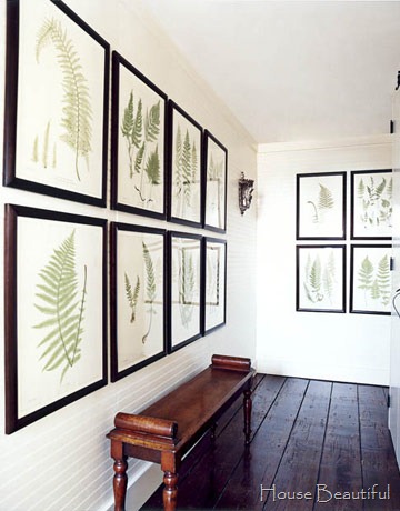 [house beautiful botanical prints[3].jpg]