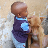  &ndash; Roo holds back Simba as the dog becomes less patient. . ..© 2008 Nazareth House Apostolate; all rights reserved