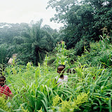  &ndash; Children peering out of the weeds to give look at Mama Vicki (V. Hicks, photographer)