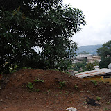  &ndash; ...© 2008 September Nazareth House Apostolate Media, Vicki Hicks: photographer