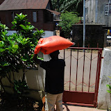  &ndash; Delivering rice to those in need, James carries rice on head.....© 2008 NHA photos