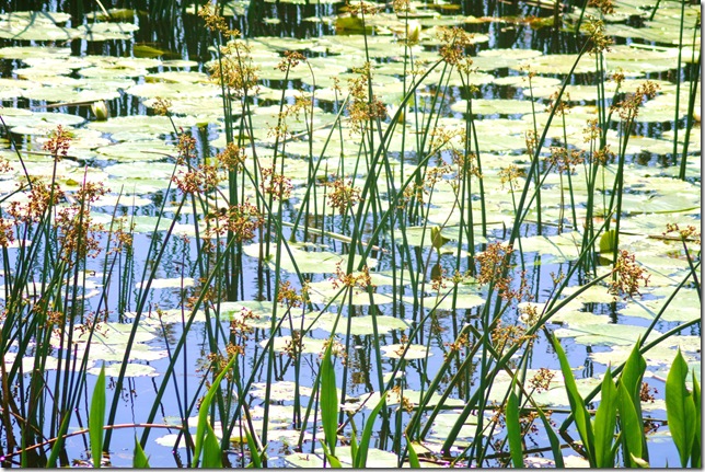 Notes:
Camera: Canon EOS 40D
Lens:
Exposure: 1/500 s, 0.0, iso : 400
Accessories:
Location:
File: IMG_8537.JPG
Mi Blog en Español en: www.samuelsantiago.com
email: santiagosamuel@live.com
Notes:
Camera: Canon EOS 40D
Lens:
Exposure: 1/500 s, 0.0, iso : 400
Accessories:
Location:
File: IMG_8537.JPG
Mi Blog en Español en: www.samuelsantiago.com
email: santiagosamuel@live.com