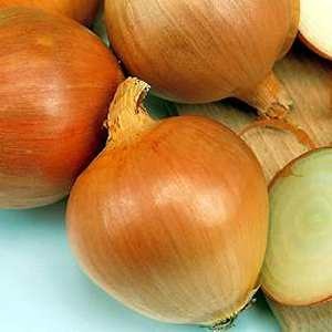 [Onions[6].jpg]