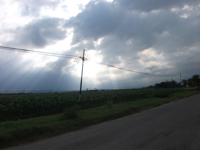 [CopyofDSCF14705.jpg]