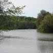 IMG_6386.jpg