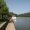 IMG_6346.jpg