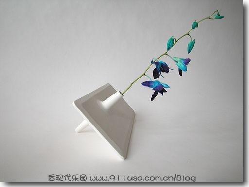 发芽花瓶