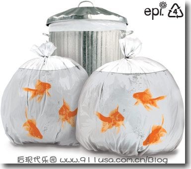垃圾袋的艺术人生 垃圾袋的艺术人生