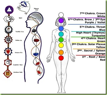 chakras chakras
