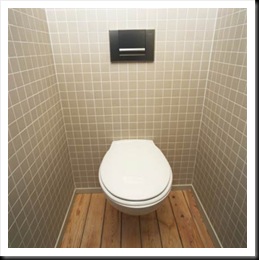 toilet-new toilet-new