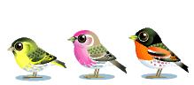 2u53zwm 2u53zwm