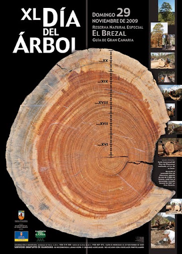 XL Día del Árbol 2009 - Gran Canaria