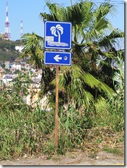 Palm trees this way...