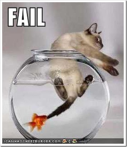 Funny cat in fishbowl. funny quotes with cats