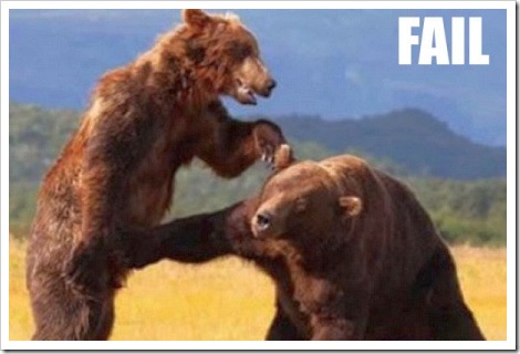 Polar+bear+slipping+on+ice