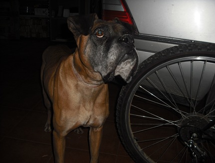DSCF2596