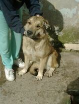 KIKA1 (2)