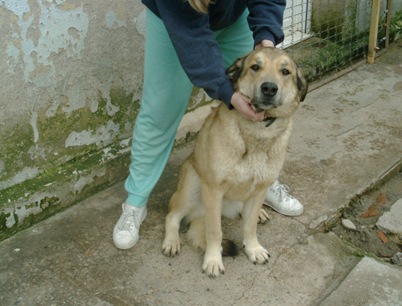 KIKA1 (1)