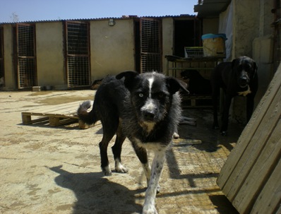 DSCN5882