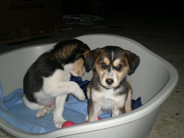[Lola y Lolo 1[5].jpg]