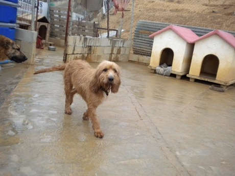 DSCN0379