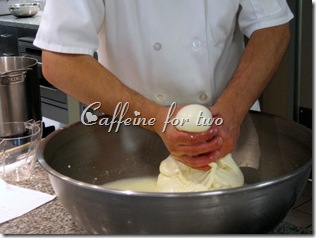 mozzarella 101 (12)