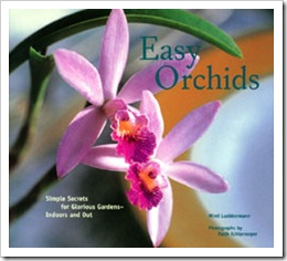 easy orchids