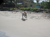 IMG_1138.JPG