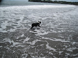 IMG_1130.JPG