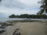 IMG_1185.JPG