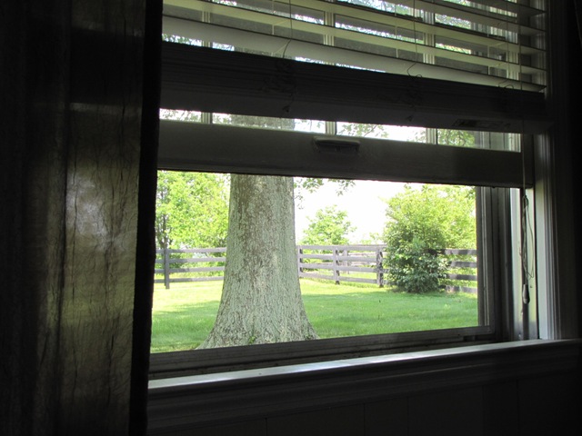 [fireplace 024[4].jpg]