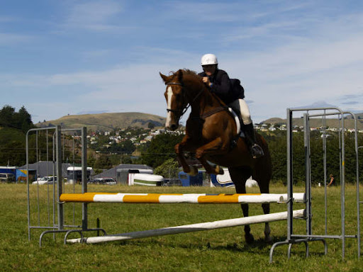 Shannon at West Harbour Pony Club 
( She won the classes in the morning)
