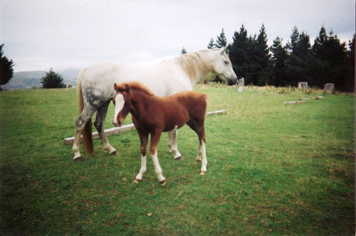 Baby Summer with her mother Gina