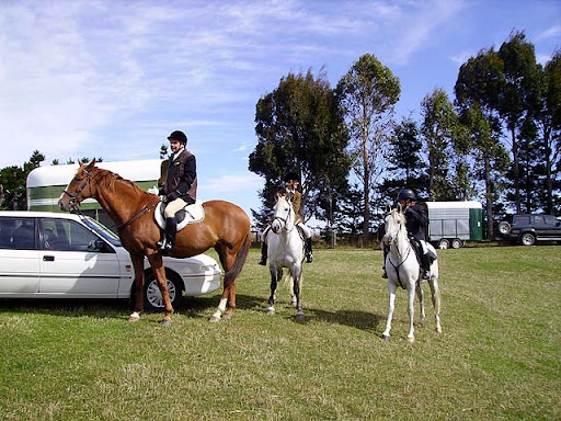 Oliver ( Shannon) Cheryl ( Snow) Freya (Jazz) before Opening hunt at Hindon