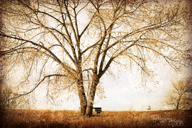 [peaceful place copy[4].jpg]