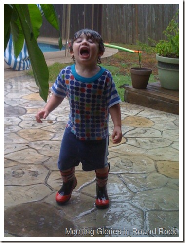 photo[1] (16)