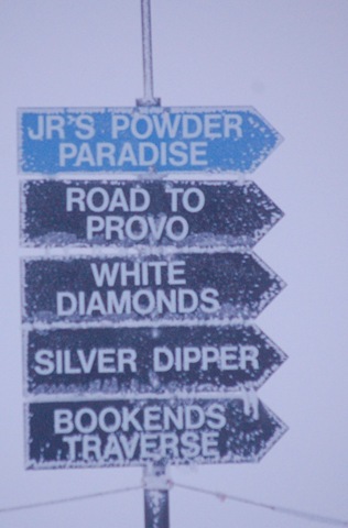 [snowbird32.jpg]