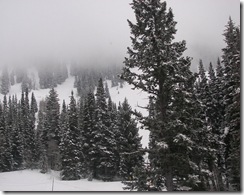 snowbird5